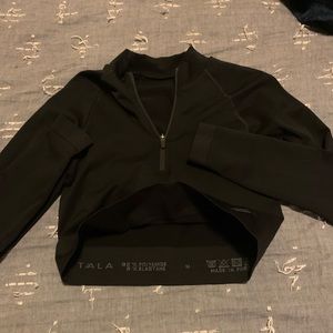 Aster crop from TALA